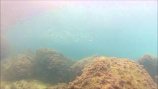 Try dive Marsalforn Bay 15th October 2012