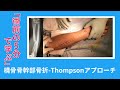 術前の５分で学ぶ 【橈骨骨幹部骨折 Thompsonアプローチ】
