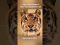 Tiger in the Elevator… A Heart-Touching Moment | Explain in Hindi #shorts