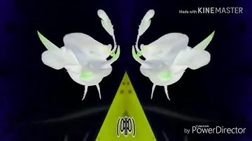 (NEW EFFECT) Larva Intro In G Major 341