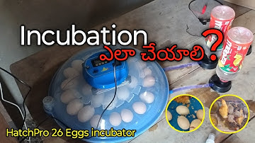 ఇంక్యుబేషన్ ఎలా చేయాలి ? Hatchpro 26 eggs incubator