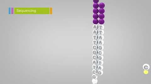 Overview of Illumina Sequencing by Synthesis Workflow | Standard SBS chemistry