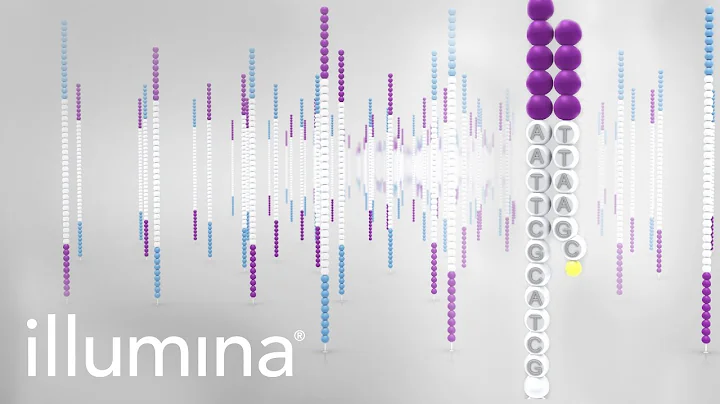 Overview of Illumina Sequencing by Synthesis Workflow - DayDayNews