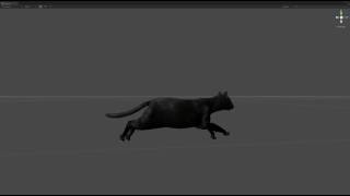 Cat RootMotion Demo