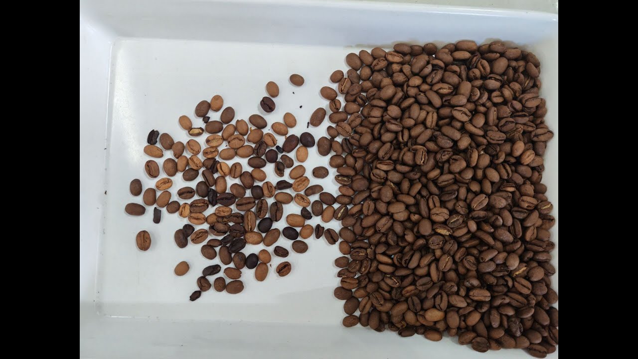 Topsort mini 32 channels roasted coffee bean color sorter