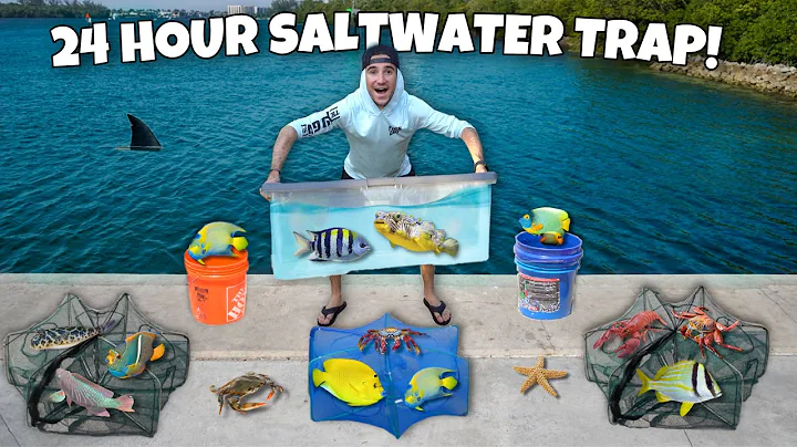 24 HOUR FISH TRAP Catches WILD AQUARIUM Fish!!