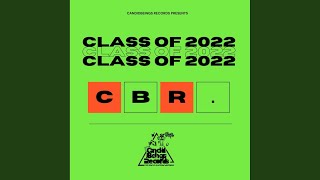 My Blood Is Electronic