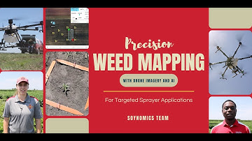 Precision Weed Mapping with Drone Imagery and AI for Targeted Sprayer Applications | Soynomics Team