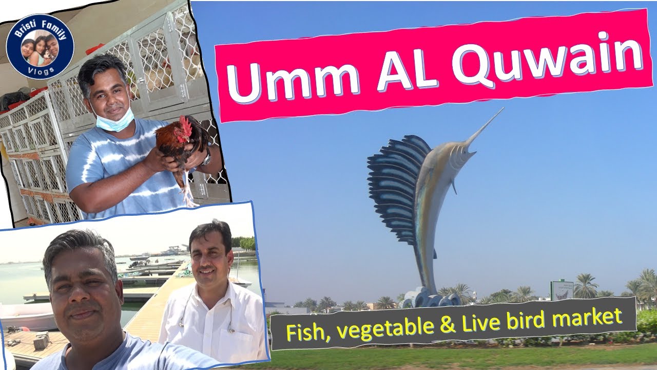 উম্মাল কুওয়েন । Trip to Umm Al Quwain । Fish, vegetable and live bird market YouTube