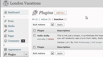 How To Install and Use Pingler Wordpress Plugin