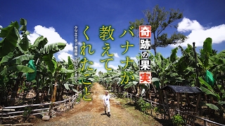 奇跡の果実バナナが教えてくれたこと クリエーター和田率フィリピンを行く 和田明日香 検索動画22 奇跡の果実バナナが教えてくれたこと クリエーター和田率フィリピンを行く 和田明日香 検索動画 22