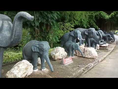 Nongnooch Car Garden, Ai Baan Nawk Coffeeshop and Cat Cafe / Vlog Review No. 126