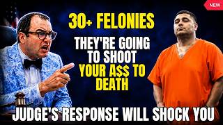 30+ Felonies and Still Walking Free? Judge Fleischer Has HAD ENOUGH