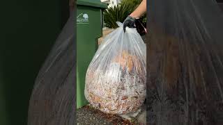 Brentwood Free Leaf Bag Program #shorts