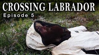 Boreal to Barrenlands - Crossing Labrador: Ep.5 - Hard Work Starts Now