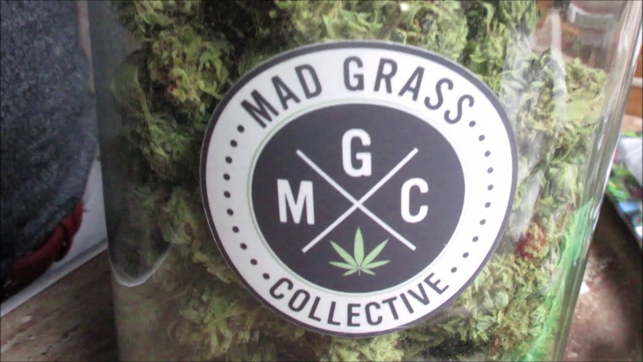 Trust The Process - MGC