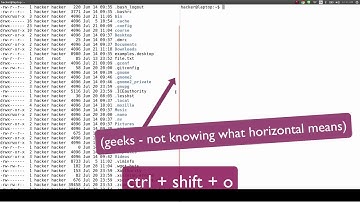 The Productive Programmer