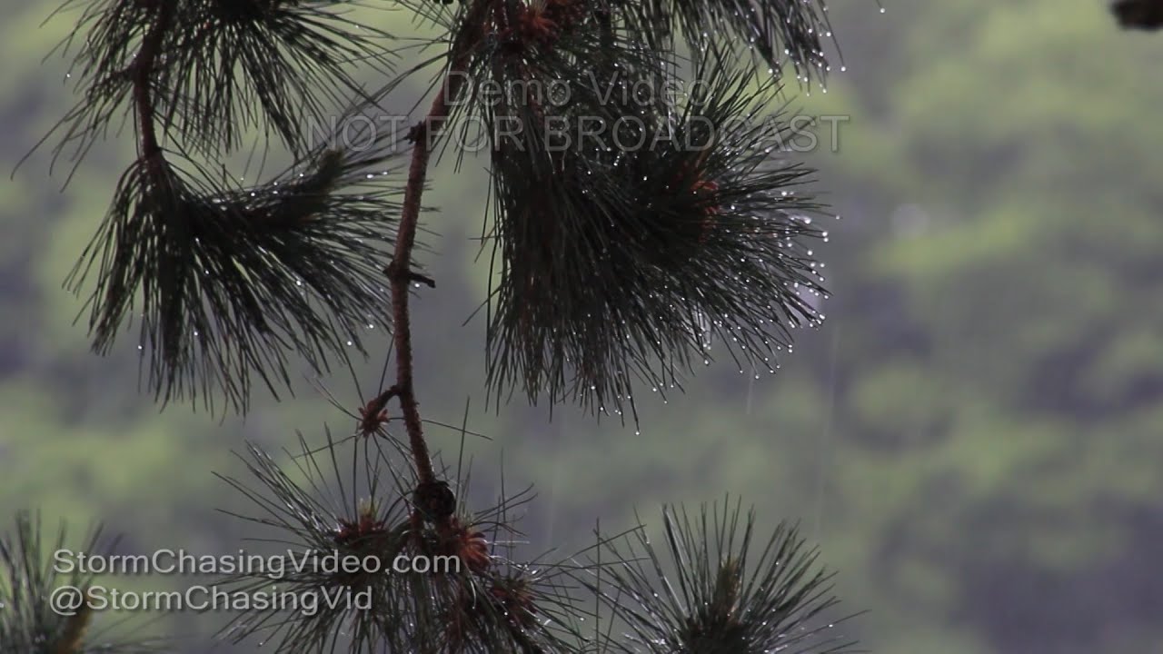 Rice Lake, WI Rain Showers - 5/31/2016