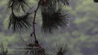 Rice Lake, WI Rain Showers - 5/31/2016