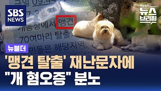 '맹견 탈출' 재난 문자에…"개 혐오증" 분노한 수의사 / SBS / 뉴블더