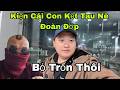Hù Dọa Ai Vậy Đoàn Đớp Kiện Cái Con Kẹt Tau Nè