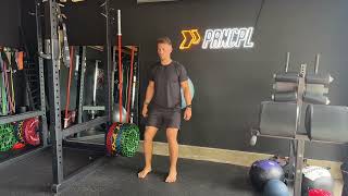 Stability Ball Hack Squat