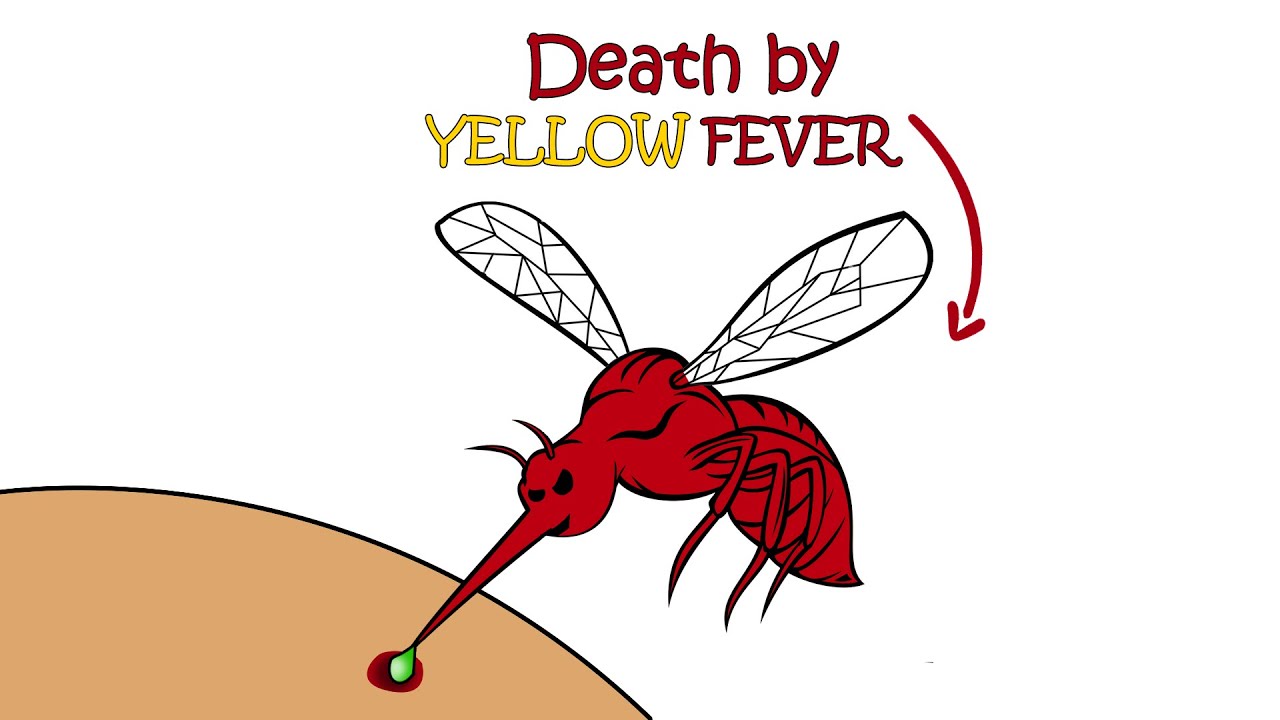 The Most Deadly Diseases in History