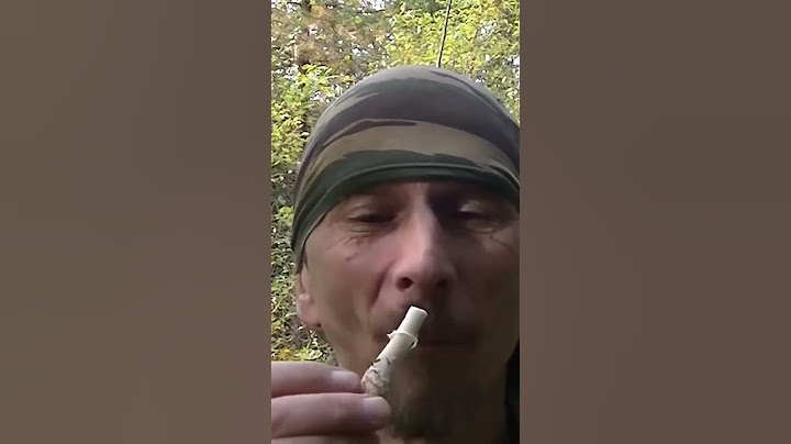 Что будет если съесть сырой мухомор #мухомор #микродозинг #грибы