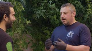It Changed The Whole Game | CannaCribs Features Delta Leaf Client Grow Sciences (Arizona)