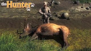 A CACCIA DI ORSI, WAPITI E ALCI #10 w/Mito125s - THE HUNTER GAMEPLAY ITA screenshot 4