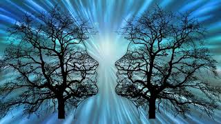 Self Transformation