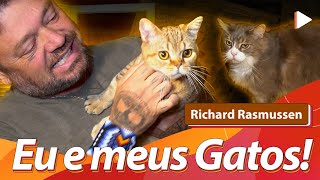 APRESENTANDO MEUS GATOS  @RichardRasmussenSelvagem