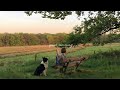 a quiet playlist for quiet moments🍀(reading, studying & relaxing)