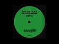 Palms trax  nonku phiri  petu masalo remix