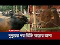 রাজশাহীতে এখনও শুরু হয়নি বেচাকেনা; দুপুরের পর শুরুর আশা | Cow Hut | Qurbani | Jamuna TV