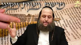 הרב אודי קוטיגרו: פרשת מטות מסעי | לצעוד על הדרך קדימה