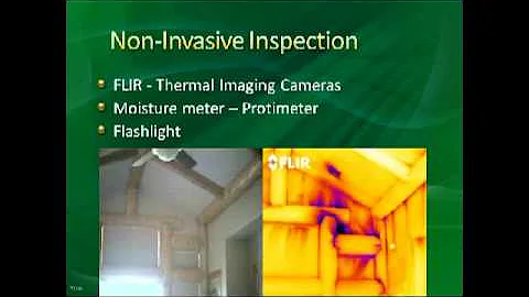 Guide to mold inspection environmental solutions association