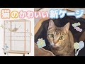 おしゃれで可愛いキャットケージを組み立てる！子猫あめちゃんの新居の準備。保護猫の日常