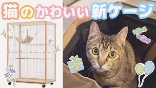 おしゃれで可愛いキャットケージを組み立てる！子猫あめちゃんの新居の準備。保護猫の日常