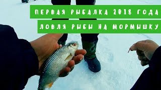 Первая рыбалка 2018 года. Ловля рыбы на мормышку