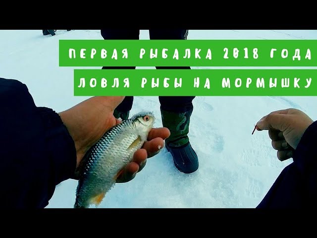 Первая рыбалка 2018 года. Ловля рыбы на мормышку