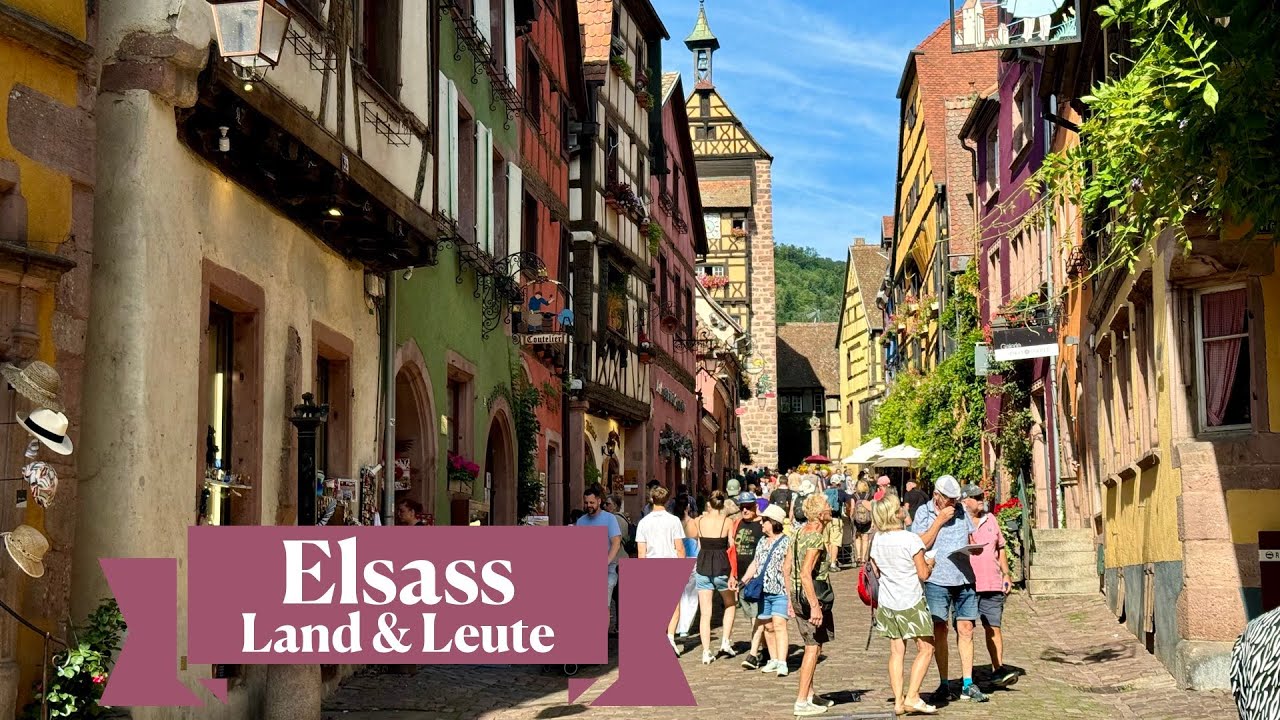 Elsass pur: Fachwerkromantik, Weinberge & Geschichte erleben!