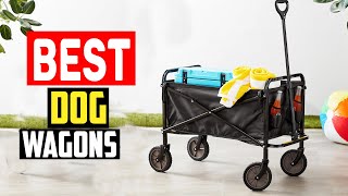 Top 5 Best Dog Wagons for Carting Canines in 2025