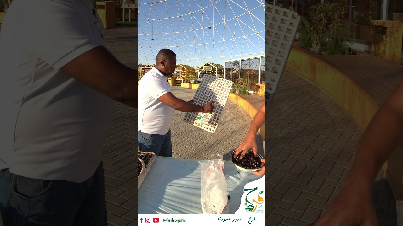 روابي فرح - الى كل شخص مهتم بالزراعة ... كيف تحول البذرة الى شتـــلة بأفضل طريقة