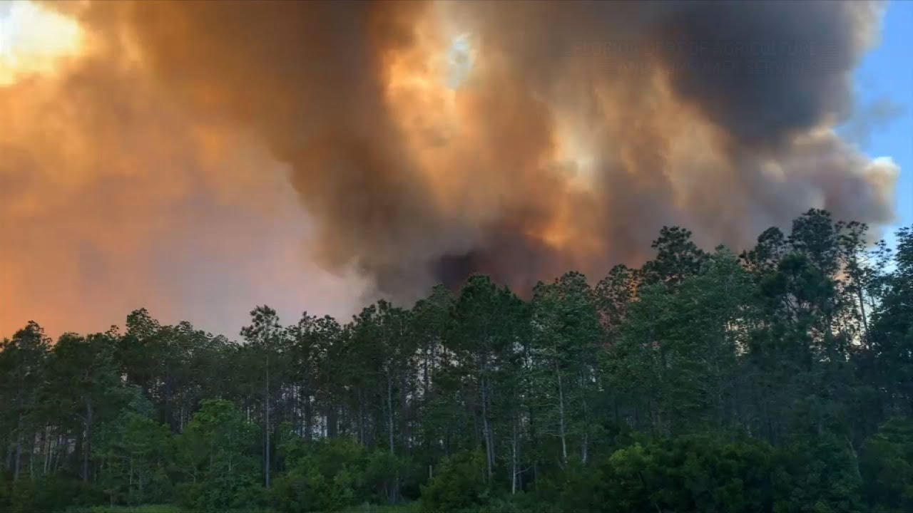 Hundreds evacuated as wildfires rage in NW Florida