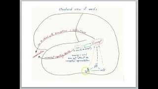 Language and thought part 1