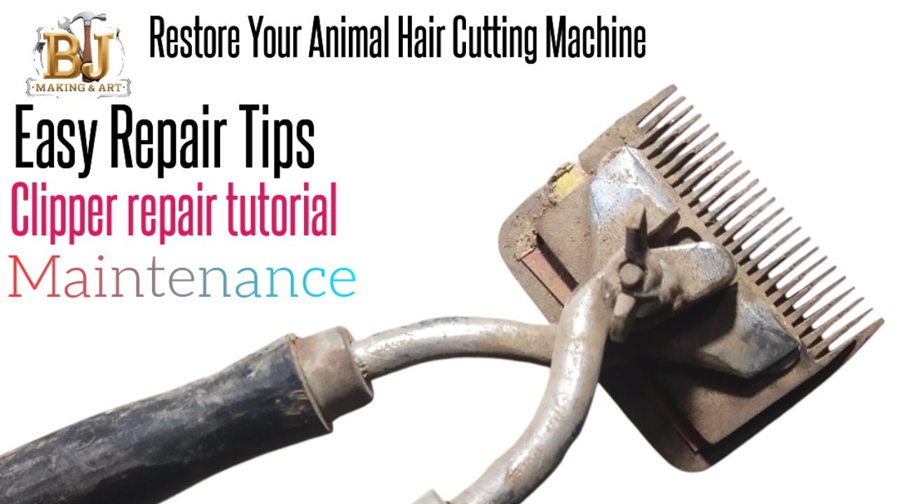 How to Repair an Animal Hair Cutting Machine: Step-by-Step Guide