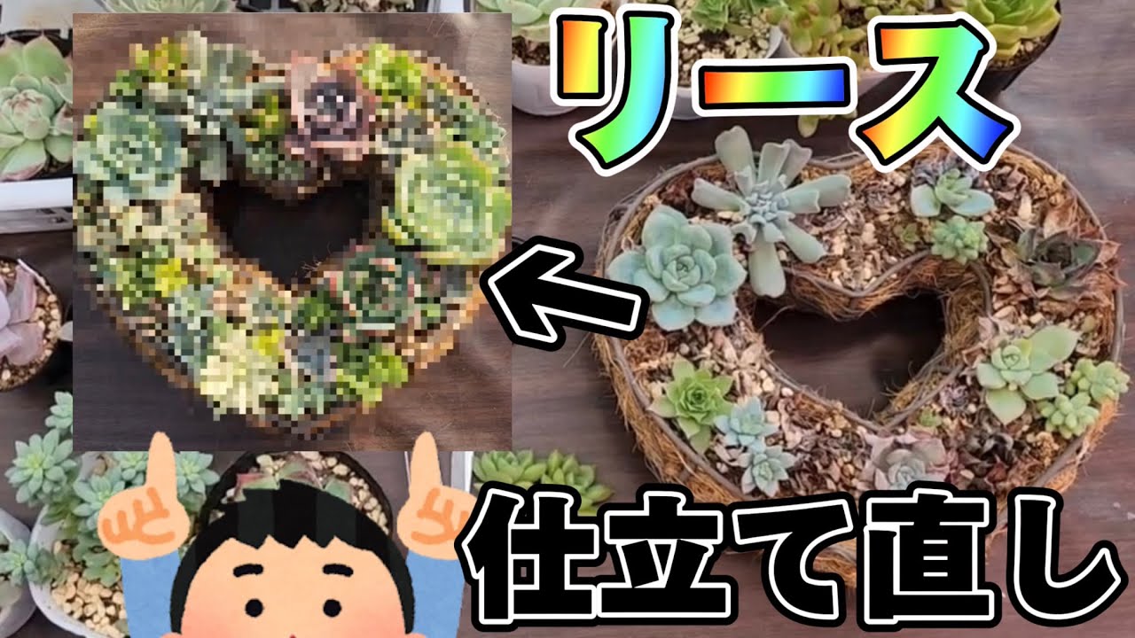 Let's Make a Heart-Shaped Succulent Wreath ♥️ - YouTube