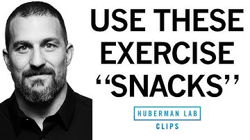 "Exercise Snacks" to Improve & Maintain Fitness | Dr. Andrew Huberman
