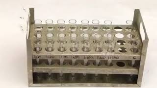 #Widal test titer by tube method